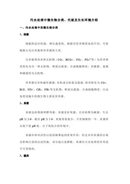 污水处理中微生物分类、代谢及生长环境介绍