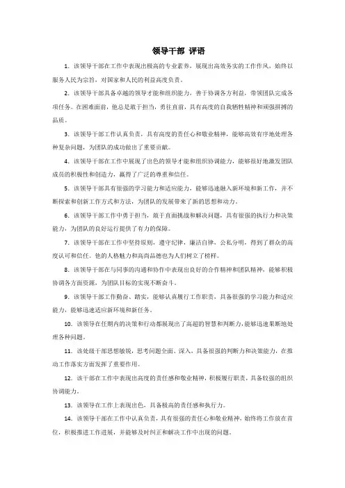 领导干部 评语