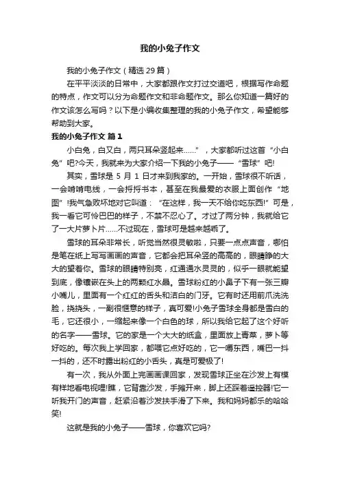 我的小兔子作文（精选29篇）