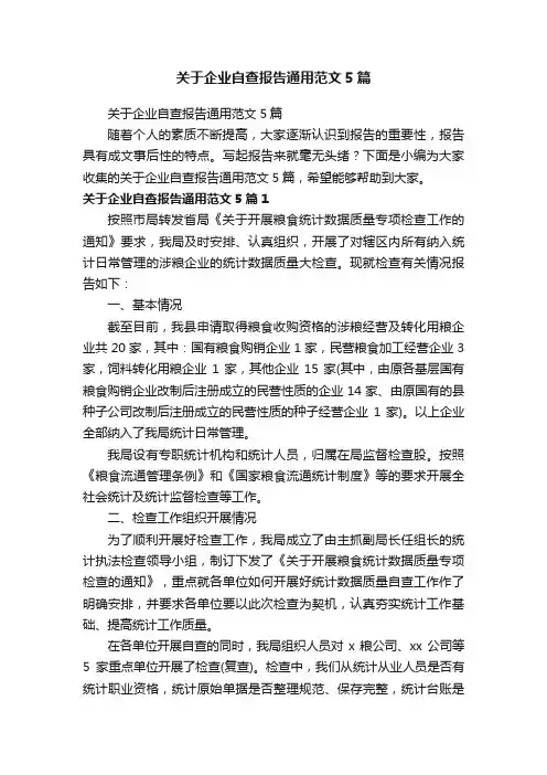 关于企业自查报告通用范文5篇