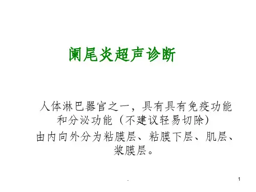 阑尾炎超声诊断67409PPT课件