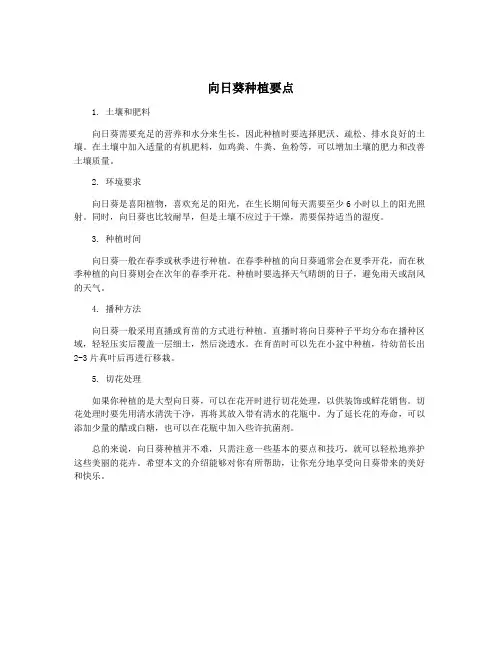 向日葵种植要点
