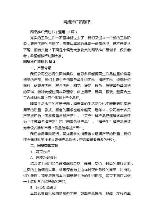 网络推广策划书（通用12篇）