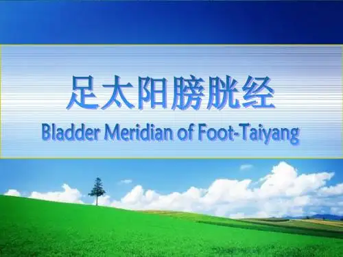 足太阳膀胱经课件