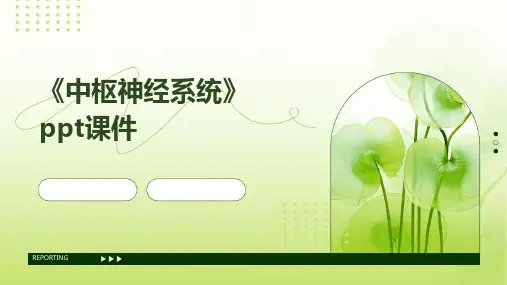 《中枢神经系统》课件