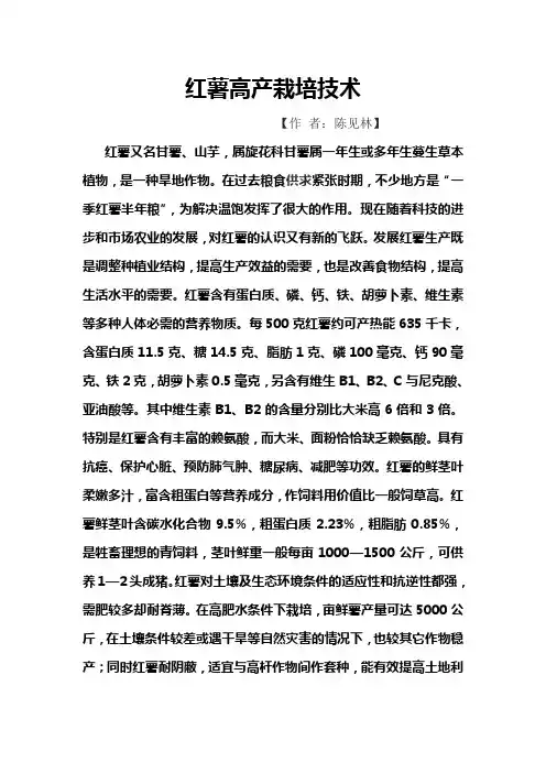 红薯高产栽培技术
