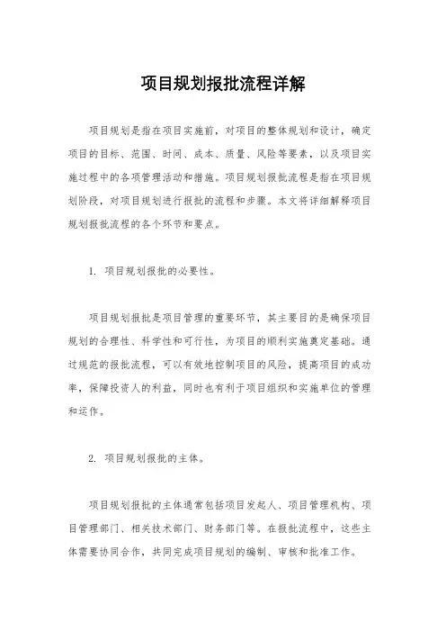 项目规划报批流程详解