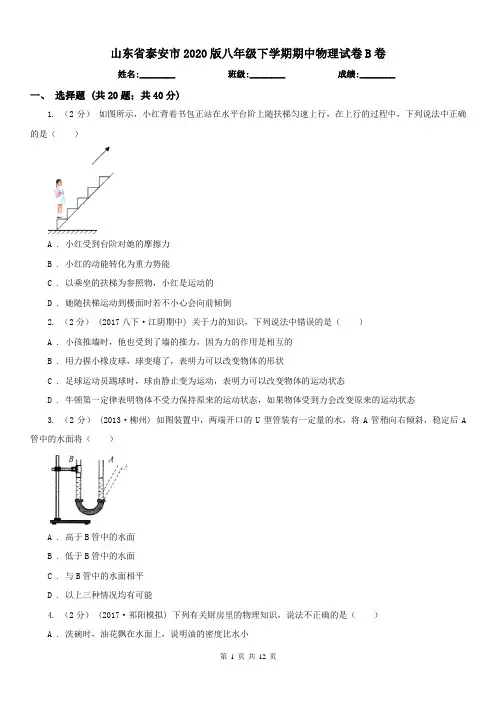 山东省泰安市2020版八年级下学期期中物理试卷B卷