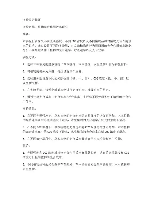 实验报告_摘要_实例