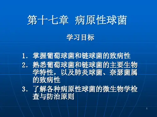 病原性球菌ppt课件