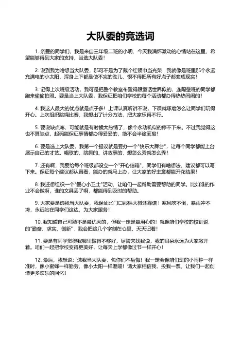 大队委的竞选词