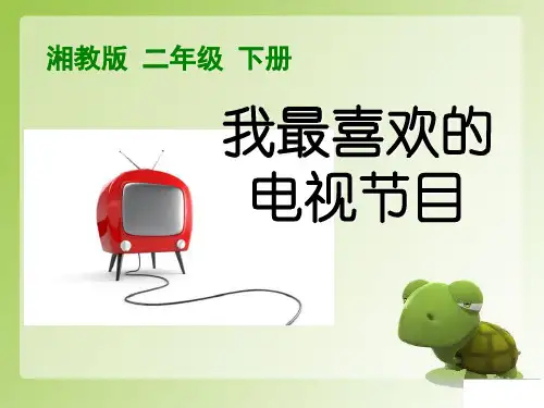 《我最喜欢的电视节目》ppt实用课件2