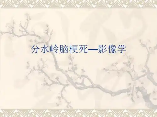 分水岭梗死PPT医学课件