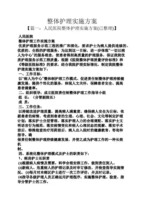 整体护理实施方案