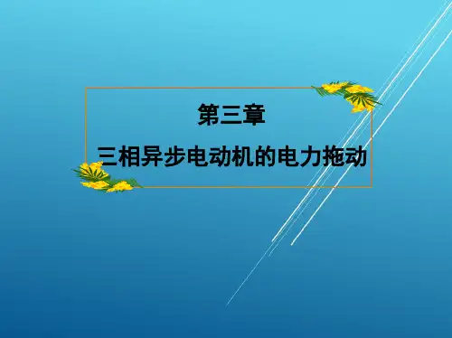 电机及拖动基础第三章