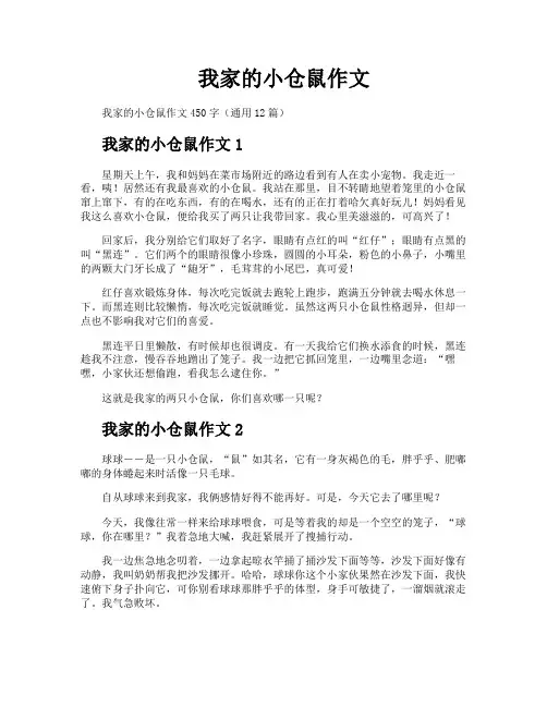 我家的小仓鼠作文