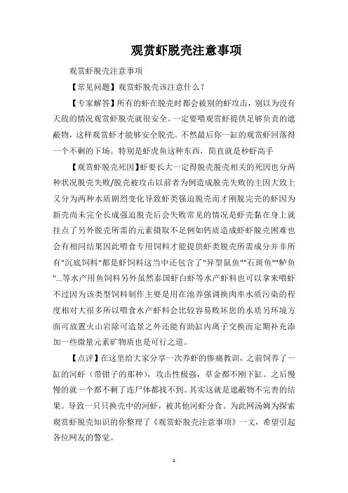 观赏虾脱壳注意事项
