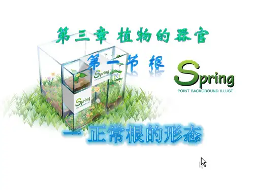 药用植物学 植物的器官 根的基本形态和变态