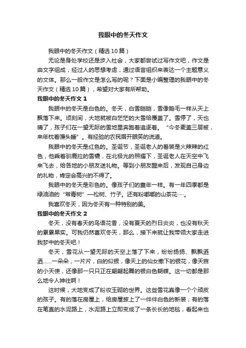 我眼中的冬天作文 2