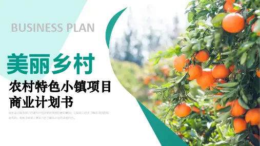 乡村振兴特色小镇美丽乡村旅游项目计划书PPT课件