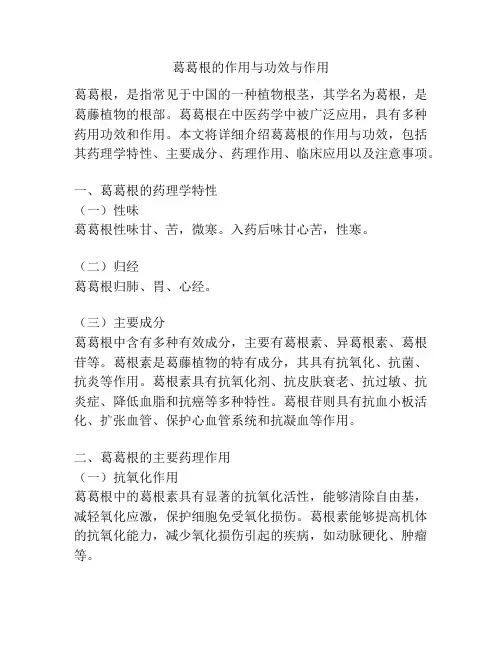 葛葛根的作用与功效与作用