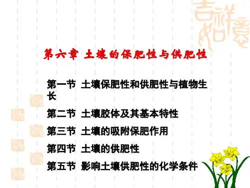 土壤肥料学第六章