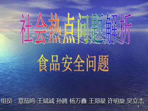热点社会问题深度分析PPT课件