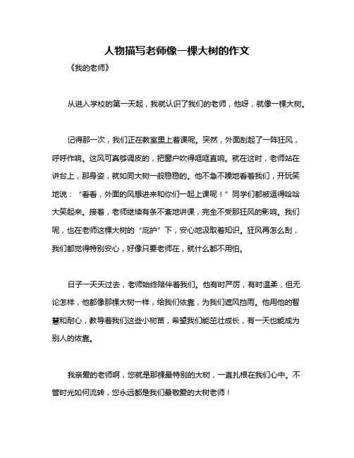 人物描写老师像一棵大树的作文