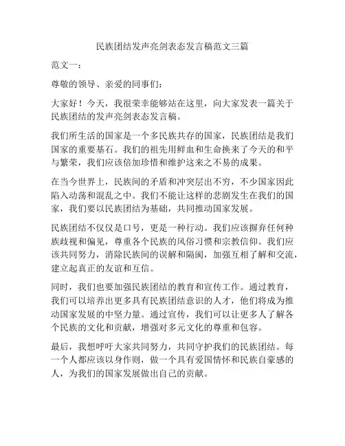 民族团结发声亮剑表态发言稿范文三篇