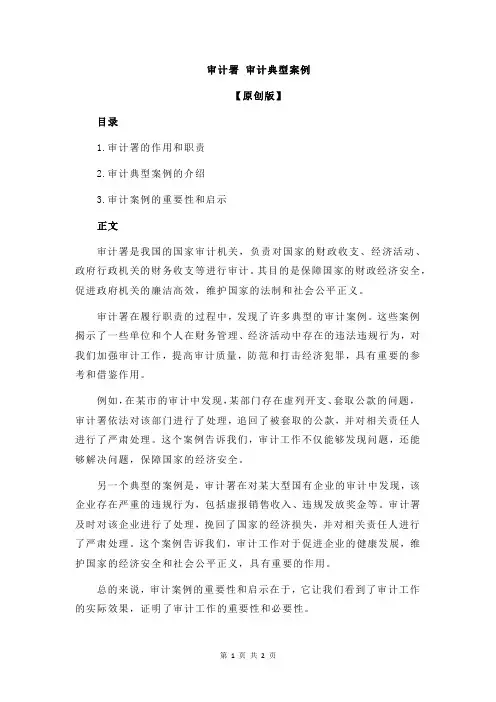 审计署 审计典型案例