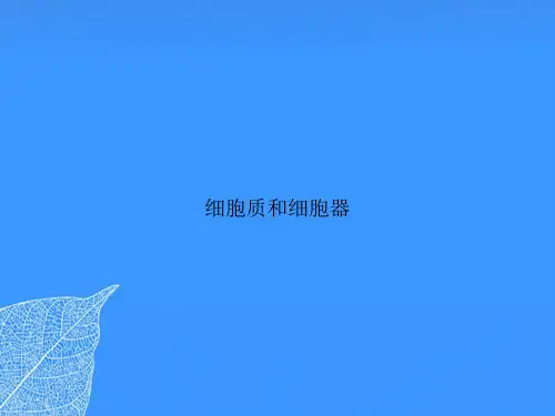 细胞质和细胞器【优质最全版】