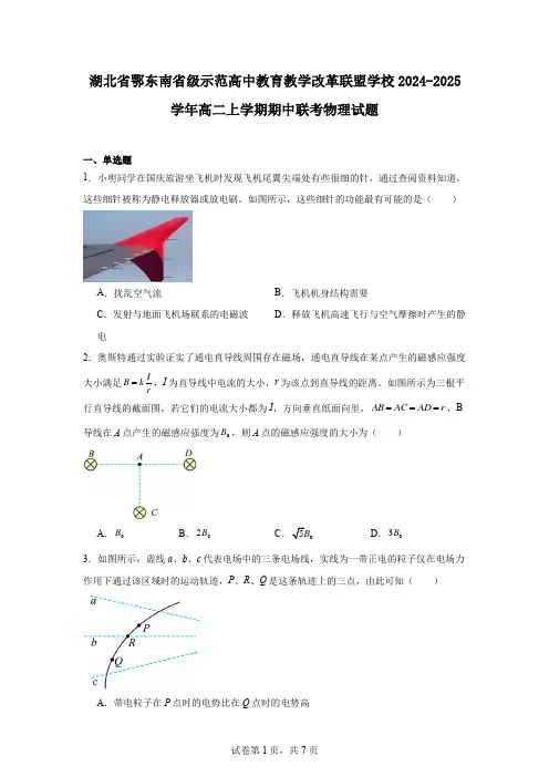 湖北省鄂东南省级示范高中教育教学改革联盟学校2024-2025学年高二上学期期中联考物理试题