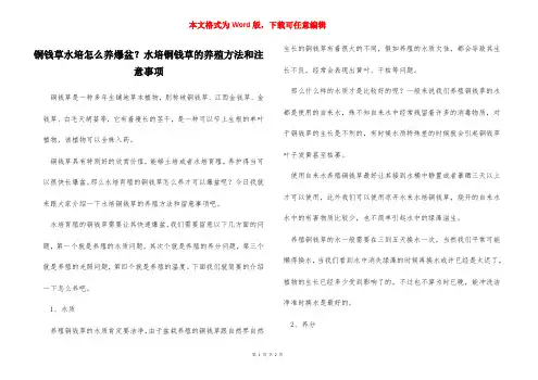 铜钱草水培怎么养爆盆？水培铜钱草的养殖方法和注意事项