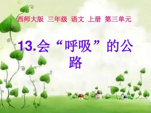 13.会呼吸的公路