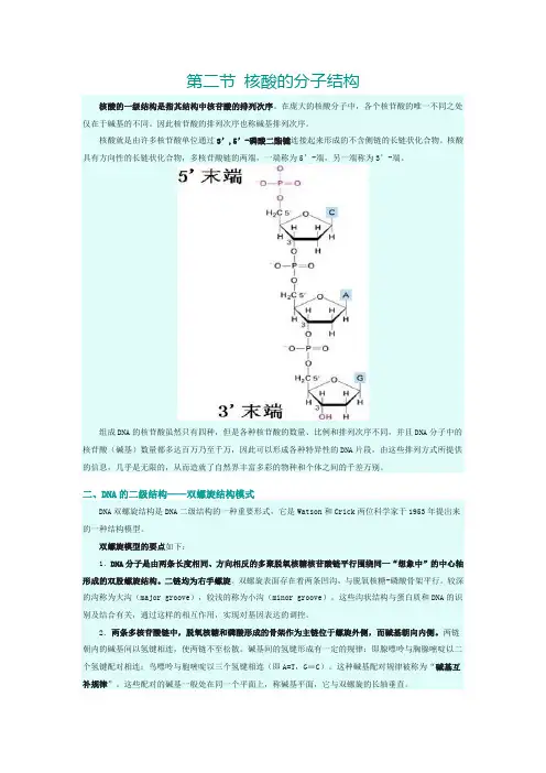 第2节核酸的分子结构