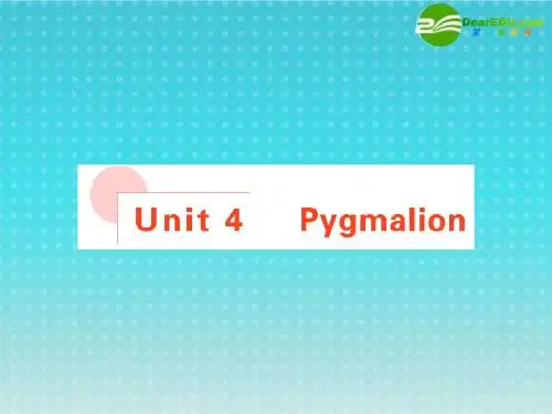 高考英语 Unit4 总复习课件 新人教版选修8