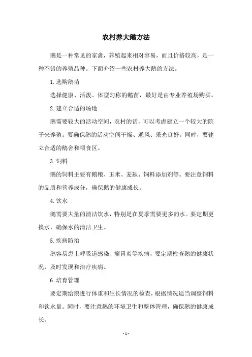 农村养大鹅方法