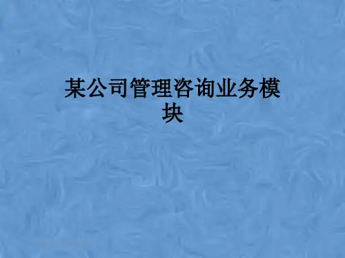 某公司管理咨询业务模块