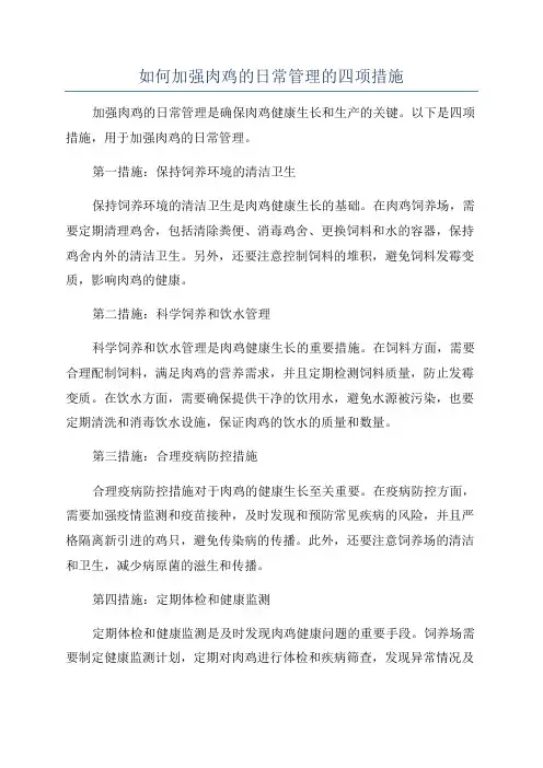 如何加强肉鸡的日常管理的四项措施