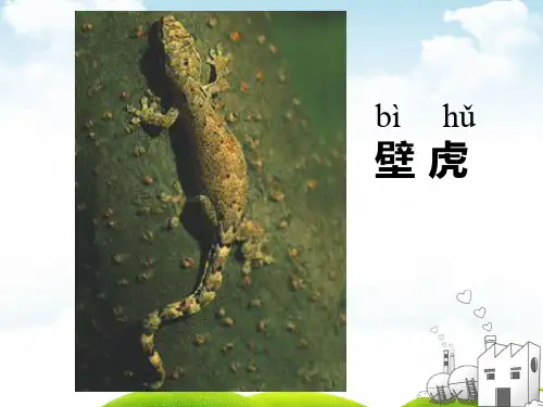 部编一年级下册PPT《小壁虎借尾巴》标准教学课件