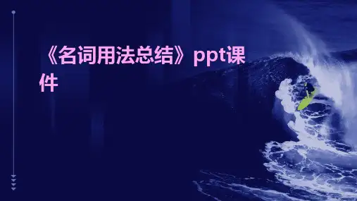 《名词用法总结》课件