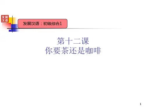 发展汉语初级综合PPT演示课件