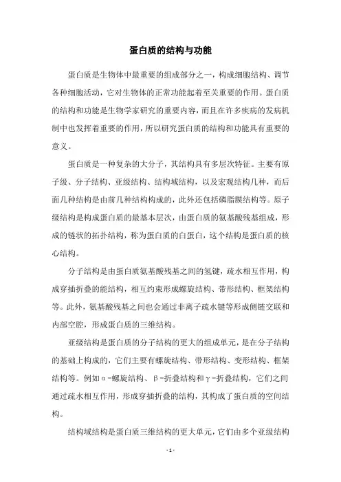蛋白质的结构与功能