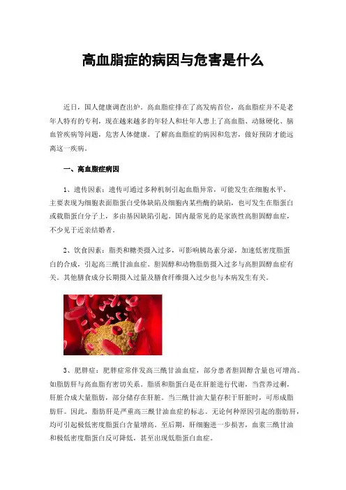 高血脂症的病因与危害是什么
