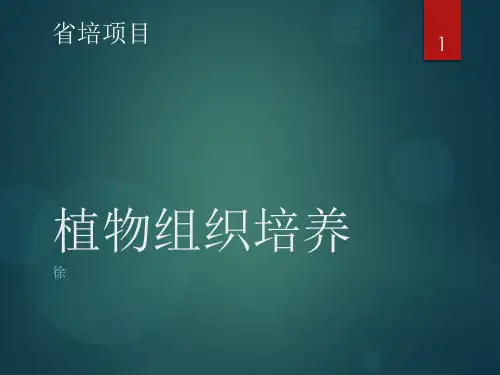 植物组织培养ppt课件