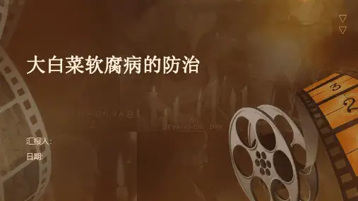 大白菜软腐病的防治