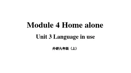 外研版九年级英语上册 教学课件Module 4 Home alone Unit 3