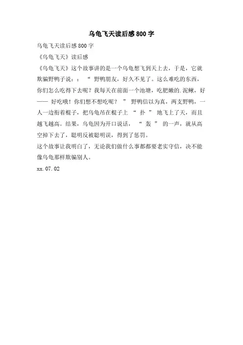 乌龟飞天读后感800字