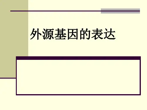基因的表达机理