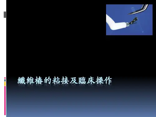纤维桩的粘接及临床操作 PPT-